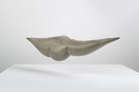 Fliegender Fisch II, 2021, object, concrete (b)